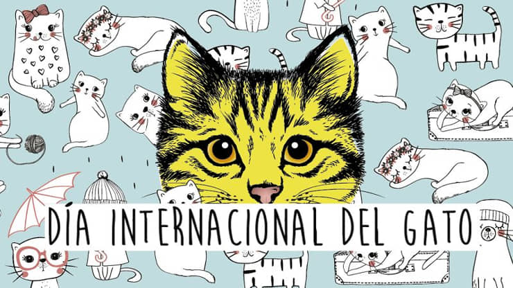 dia de internacional del gato